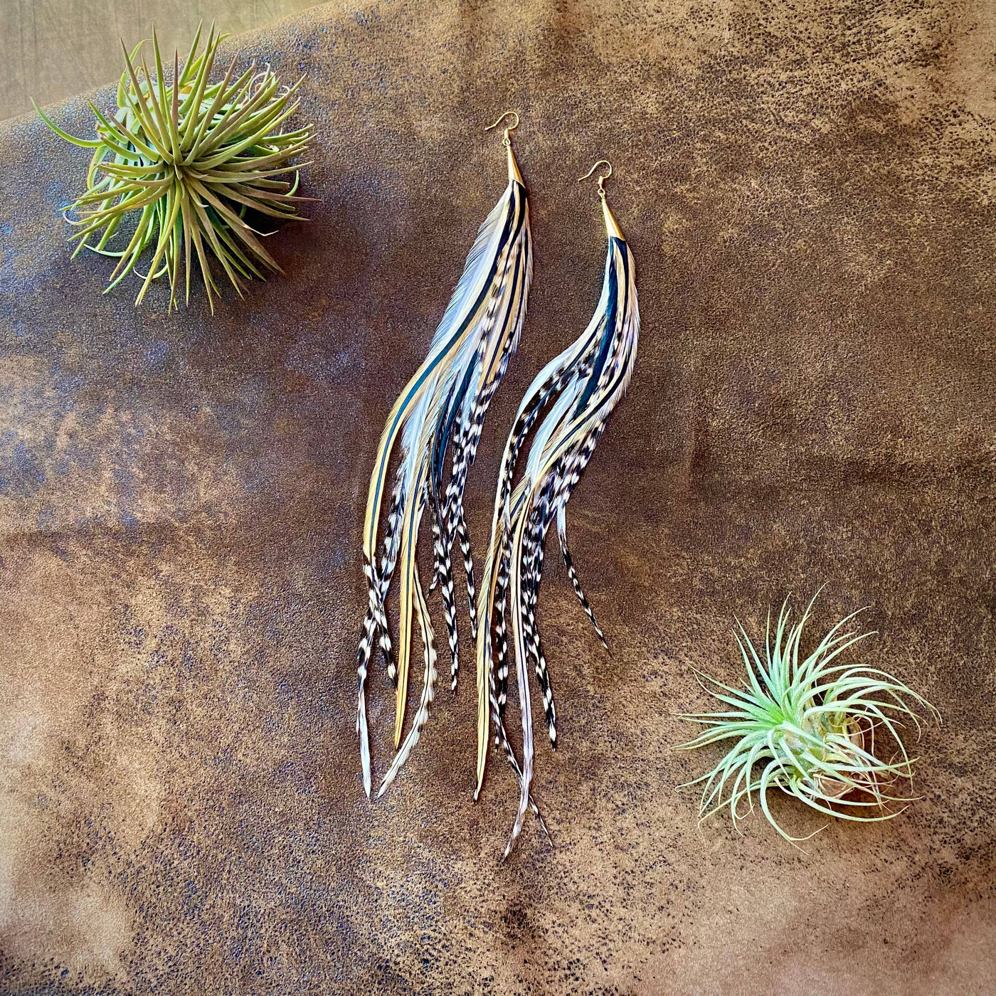 FREEBIRDS COLLECTION: Cone Feather Earrings - Golden Blk Grz