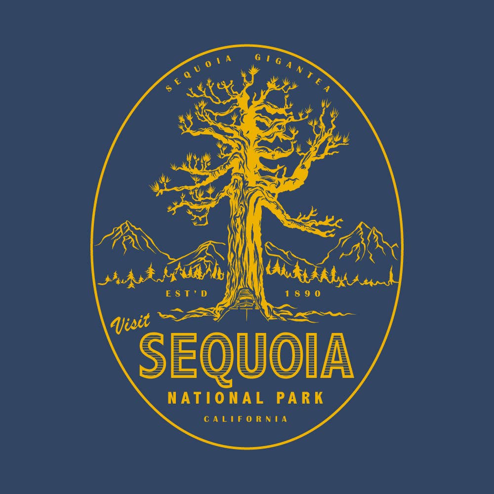 Sequoia National Park California / Unisex Vintage T-Shirt