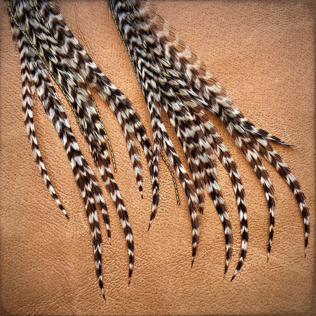 Earrings-FREEBIRDS COLLECTION: Buffalo Nickel-Grizzly