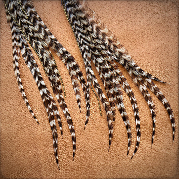 Earrings-FREEBIRDS COLLECTION: Buffalo Nickel-Grizzly