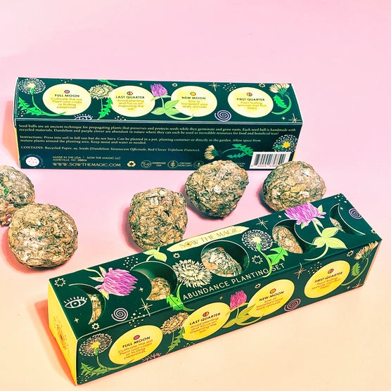 Garden Seed Ball Gift Box