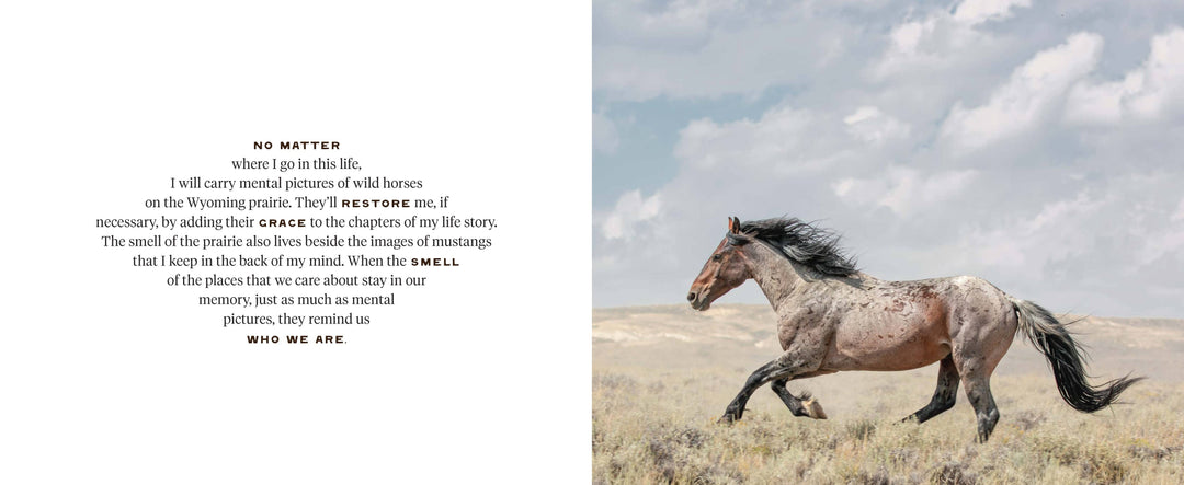 Wild Horse Effect