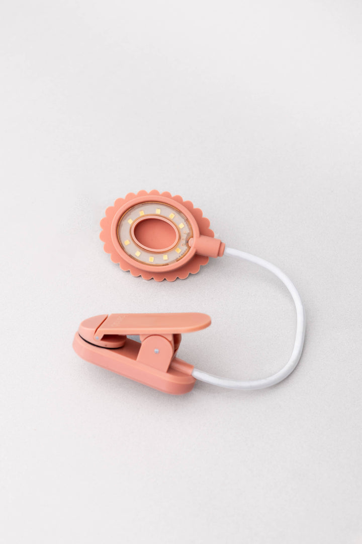 Book Light, Do Not Disturb