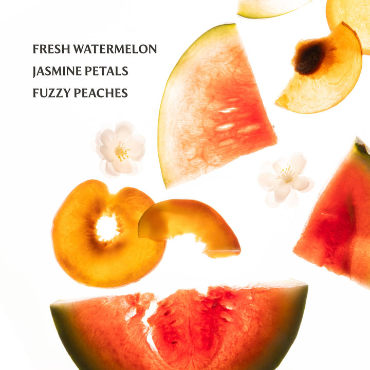 Power Mist Hydrating Hand Sanitizer-Wild Watermelon