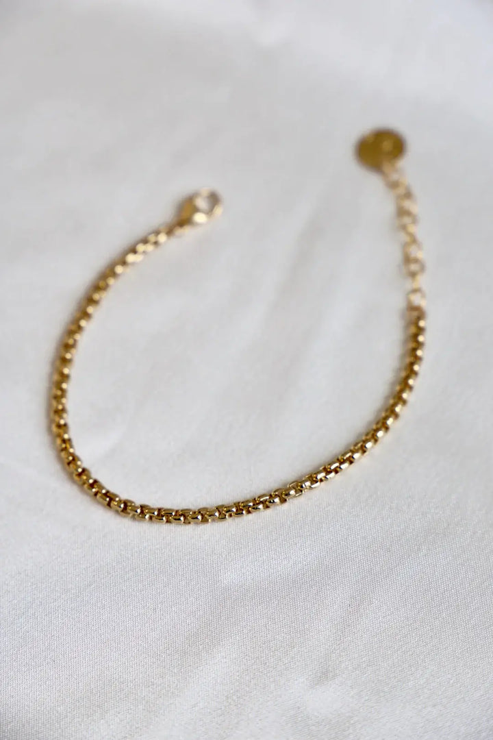 B1197 Gold Bracelet-Holland Round Box Chain