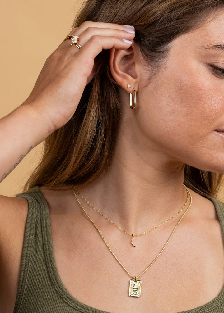 Necklace - Snake Dog Tag