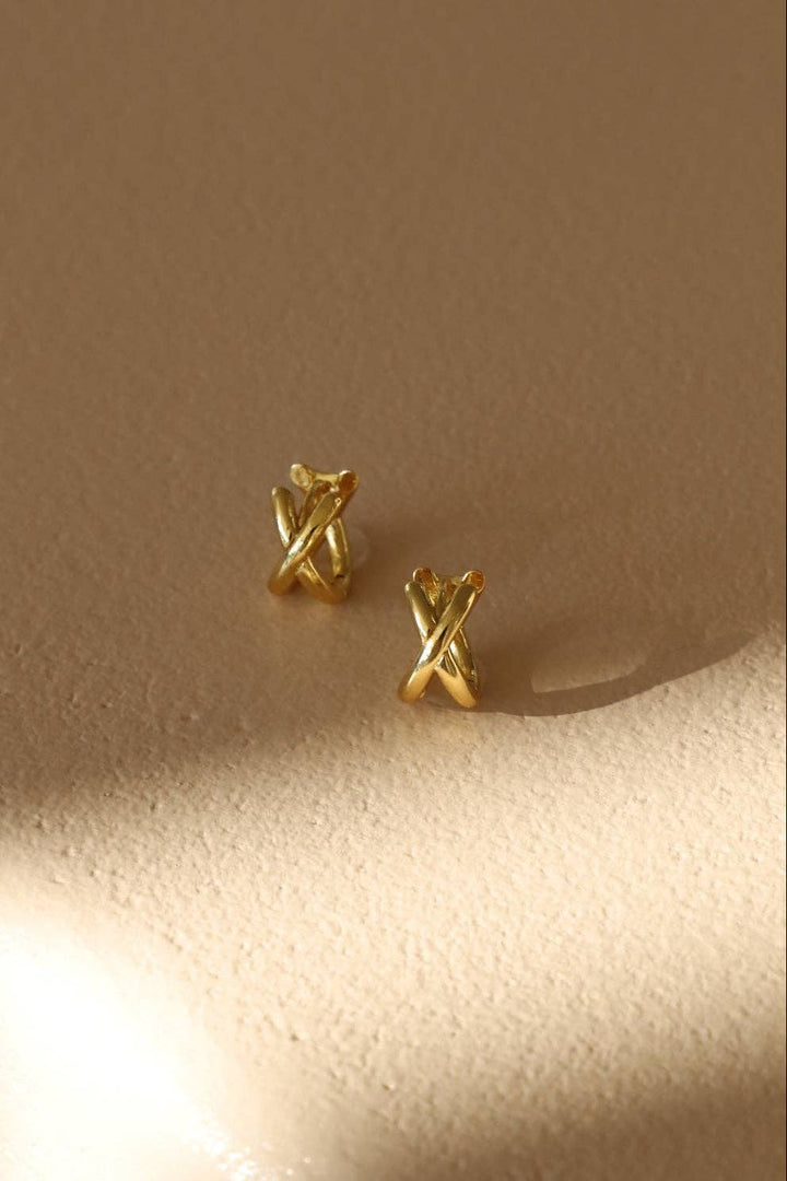 E1764 Earrings-Gold Axel Huggies