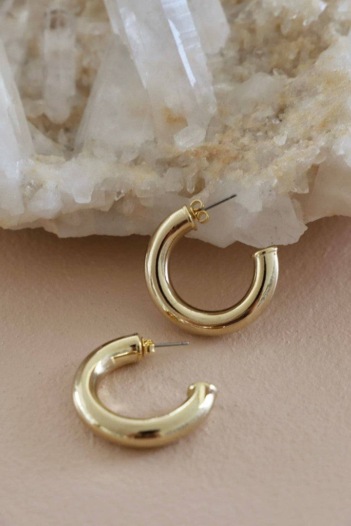 E1760G Gold Earrings-Icon Hoop