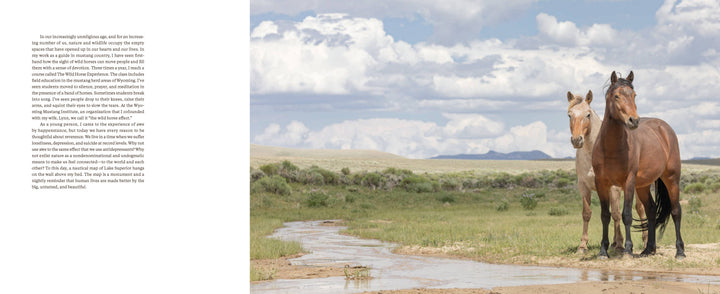 Wild Horse Effect