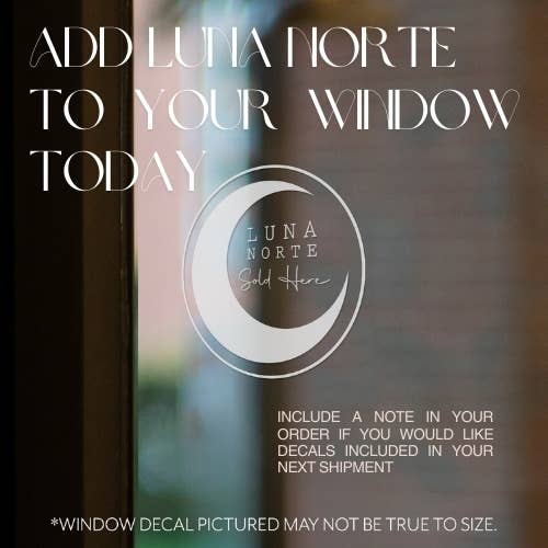 Twilight Earring Set- Moonstone