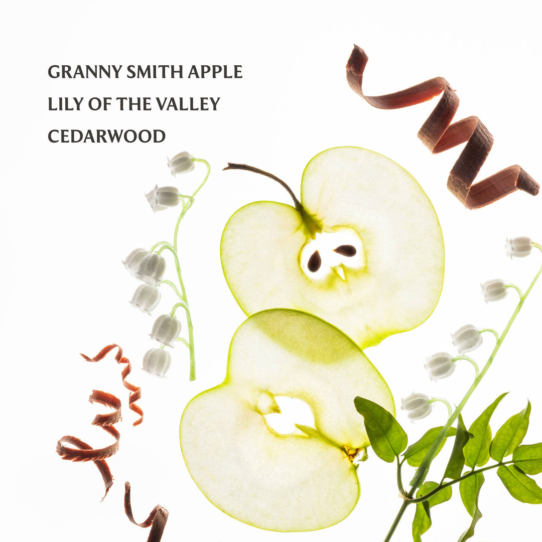 Power Mist Hydrating Hand Sanitizer-Applelicious