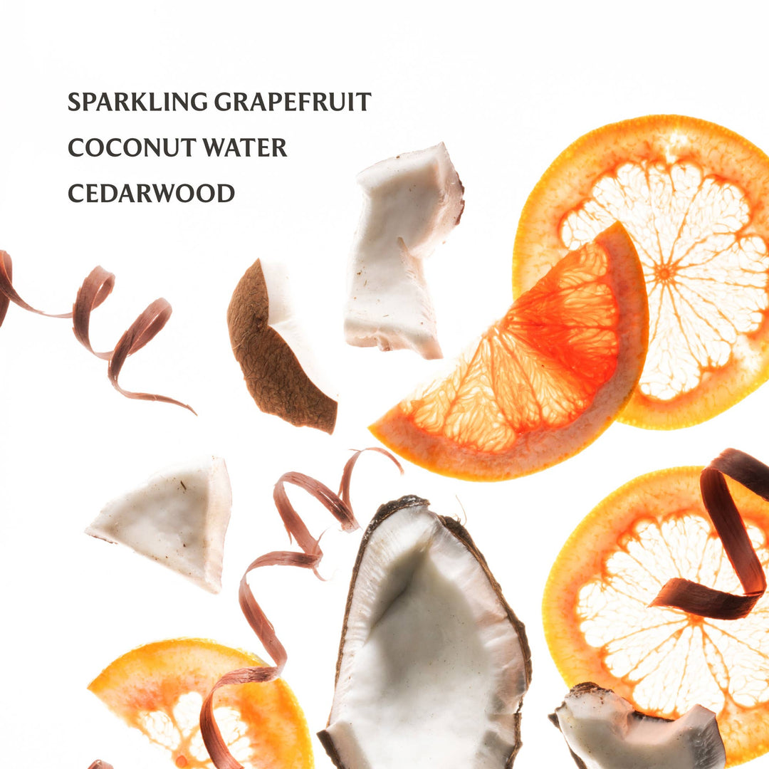 Power Mist Hydrating Hand Sanitizer-Beach Coco