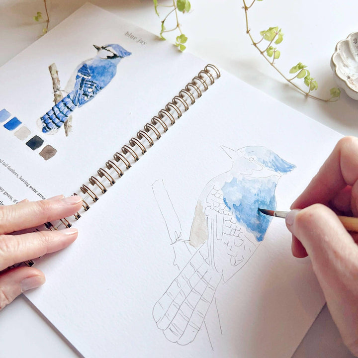 Watercolor Workbook-Birds