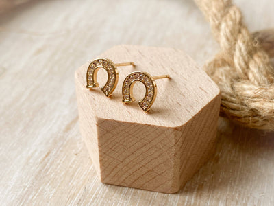 Earrings-Rancher Studs