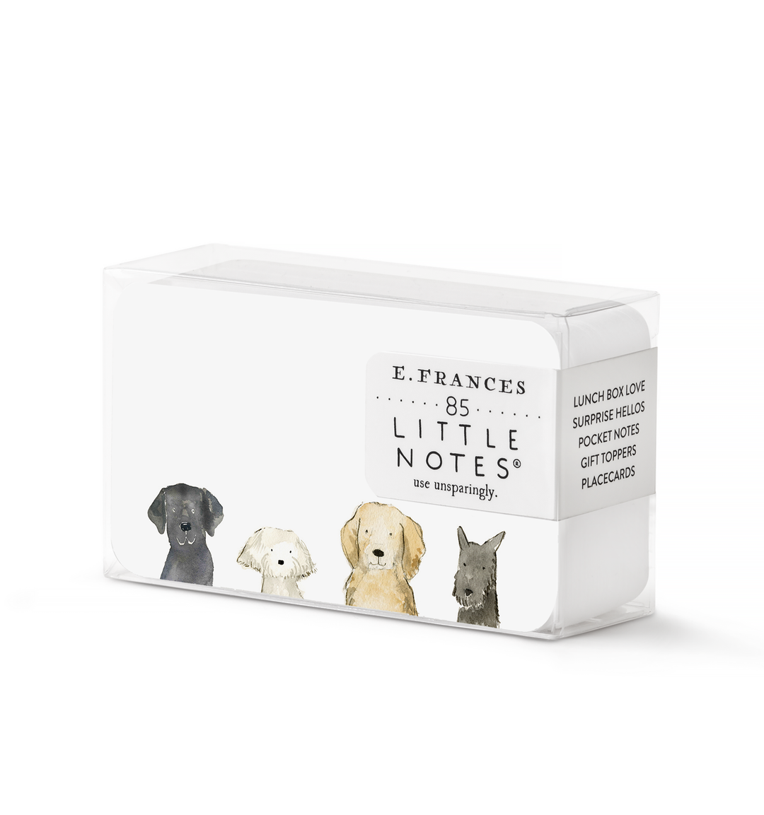 Little Notes®-Dog Days Boxed Set of 85 Mini Notes