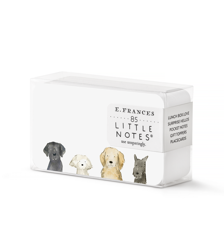 Little Notes®-Dog Days Boxed Set of 85 Mini Notes
