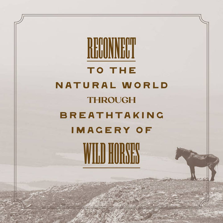 Wild Horse Effect