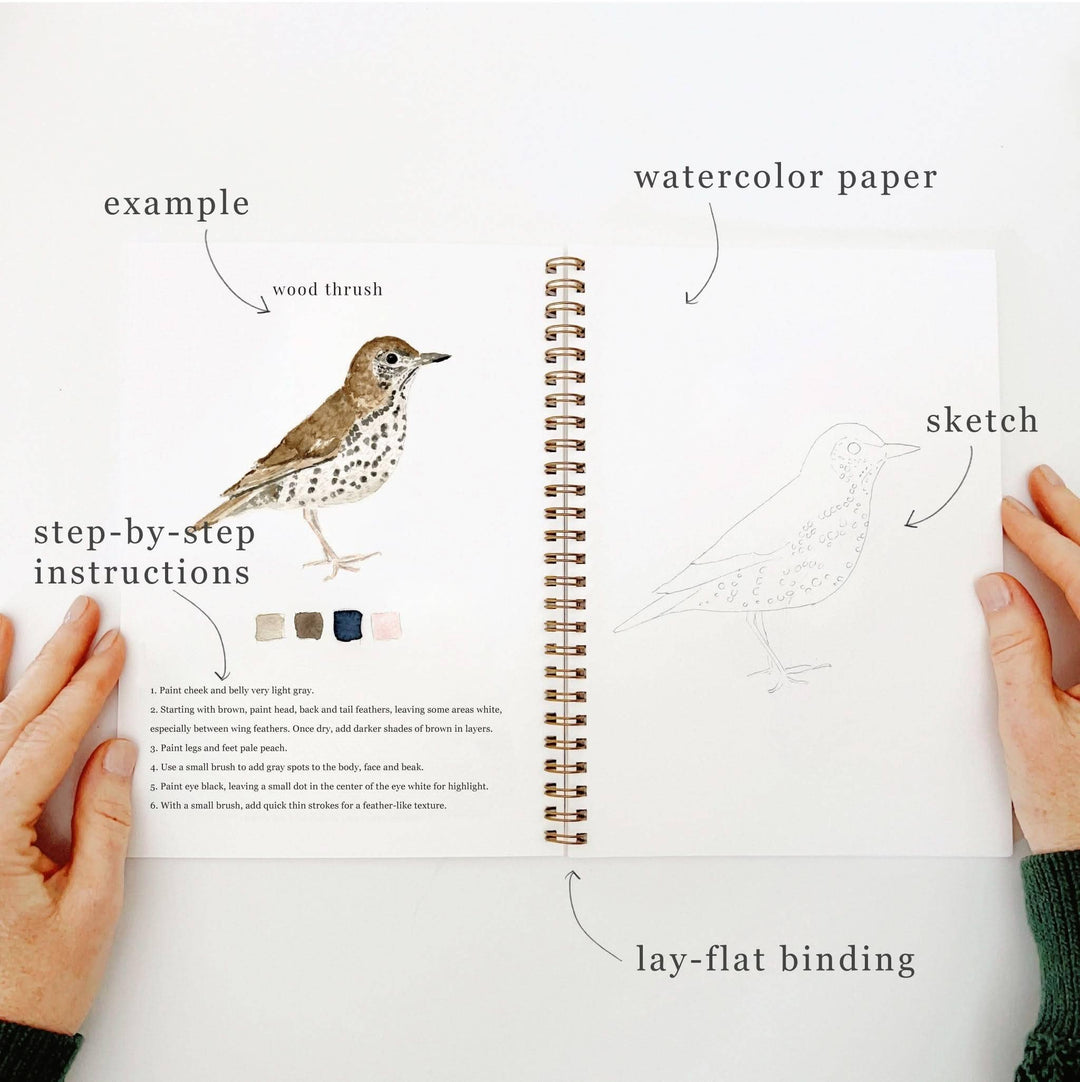 Watercolor Workbook-Birds