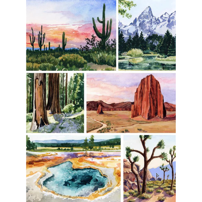 Parks of the West 1000 Piece Puzzle