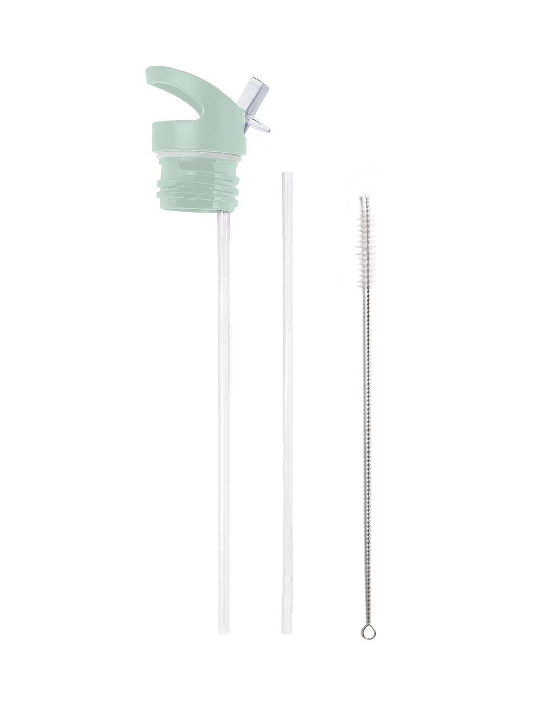 RAINFOREST TRUST | 25 oz Insulated Water Bottle Flip Sip Lid: Green / Gift Tube