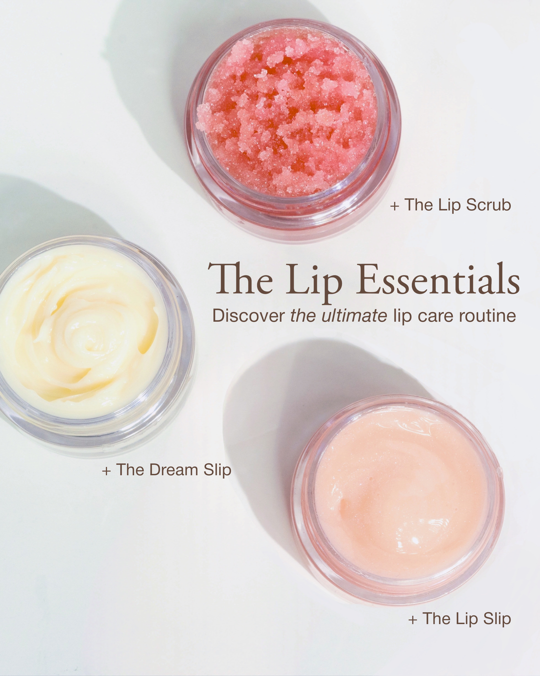 The Lip Essentials - Discovery Kit