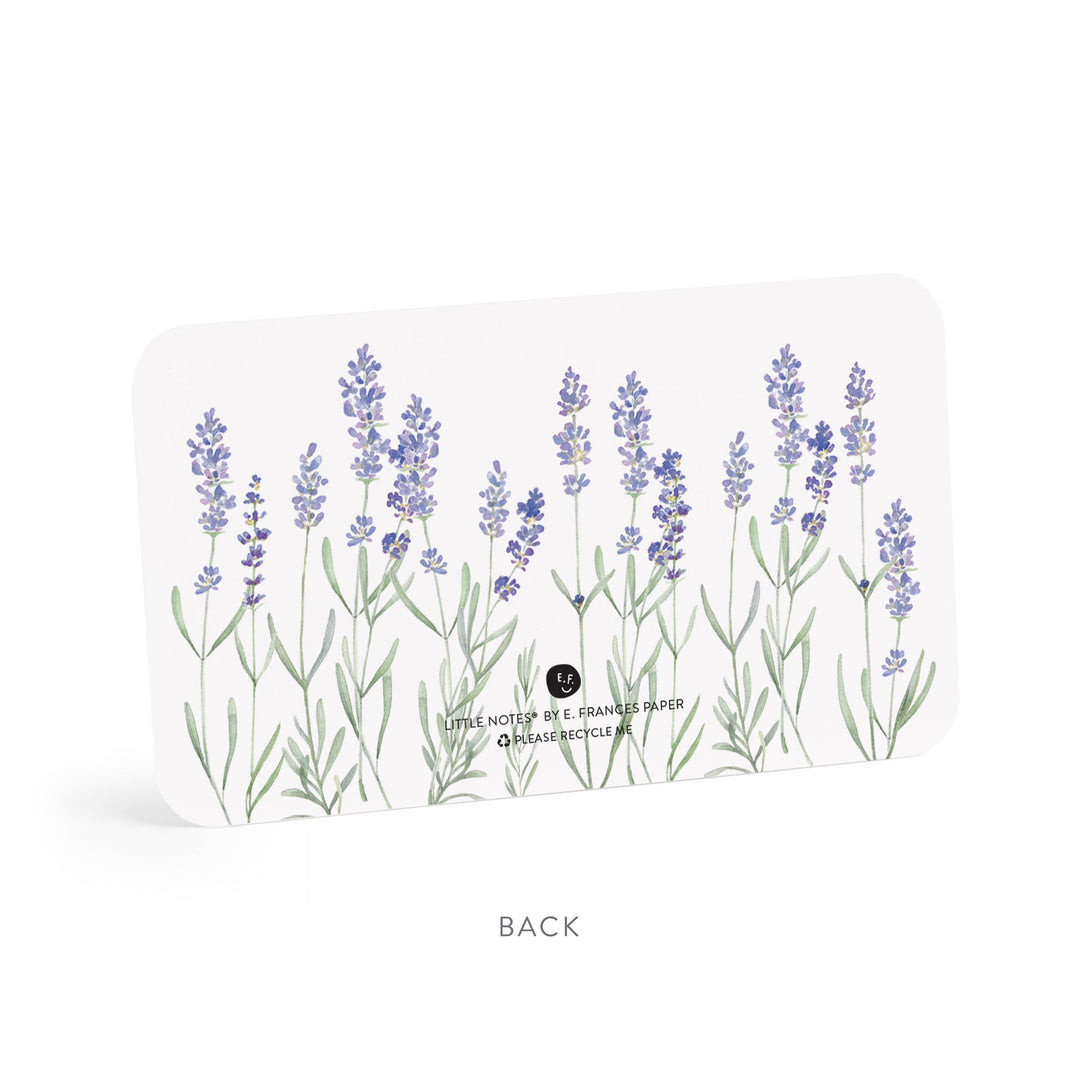 Little Notes®-Lavender Boxed Set of 55 Mini Notes