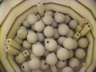 Ornament-Custom Park City