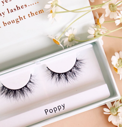 B Lashed-Poppy Lashes DISCONTINUED
