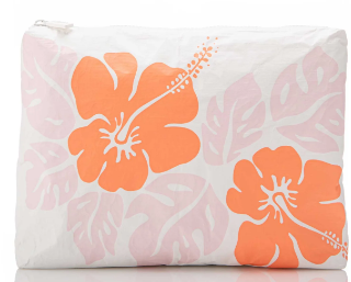 Big Island Hibiscus Dreamsicle