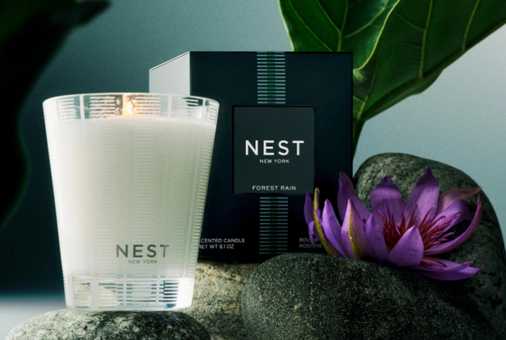 Forest Rain Collection