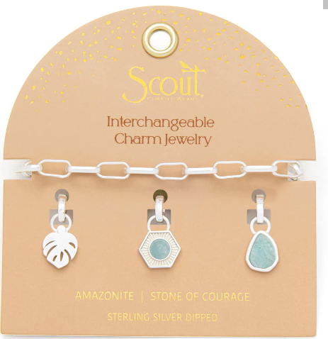 Bracelet-Interchangable Charm