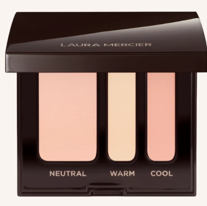 NEW Secret Camoflauge Complexion Perfector Concealer