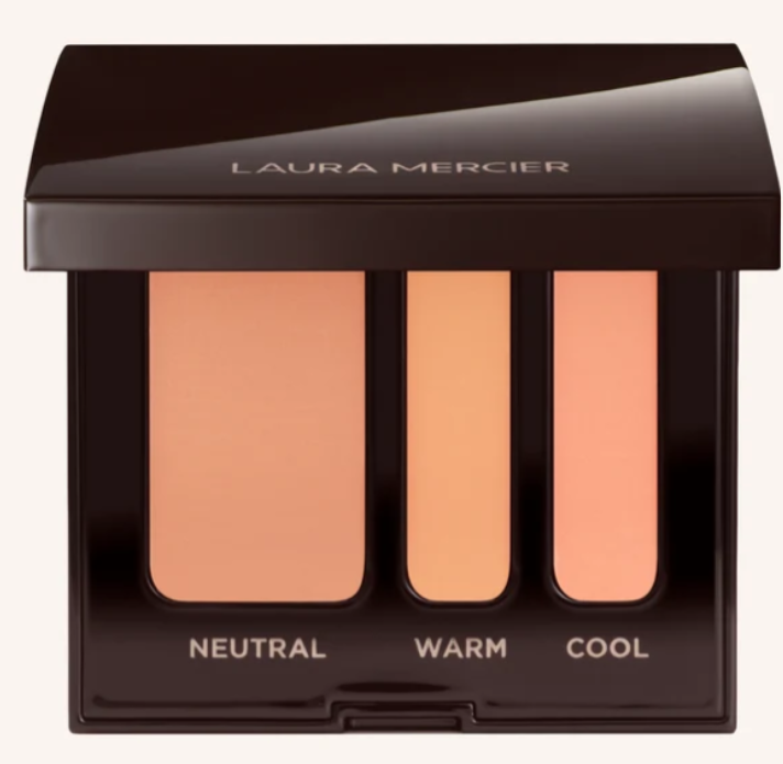 NEW Secret Camoflauge Complexion Perfector Concealer