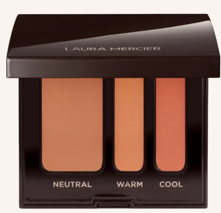 NEW Secret Camoflauge Complexion Perfector Concealer