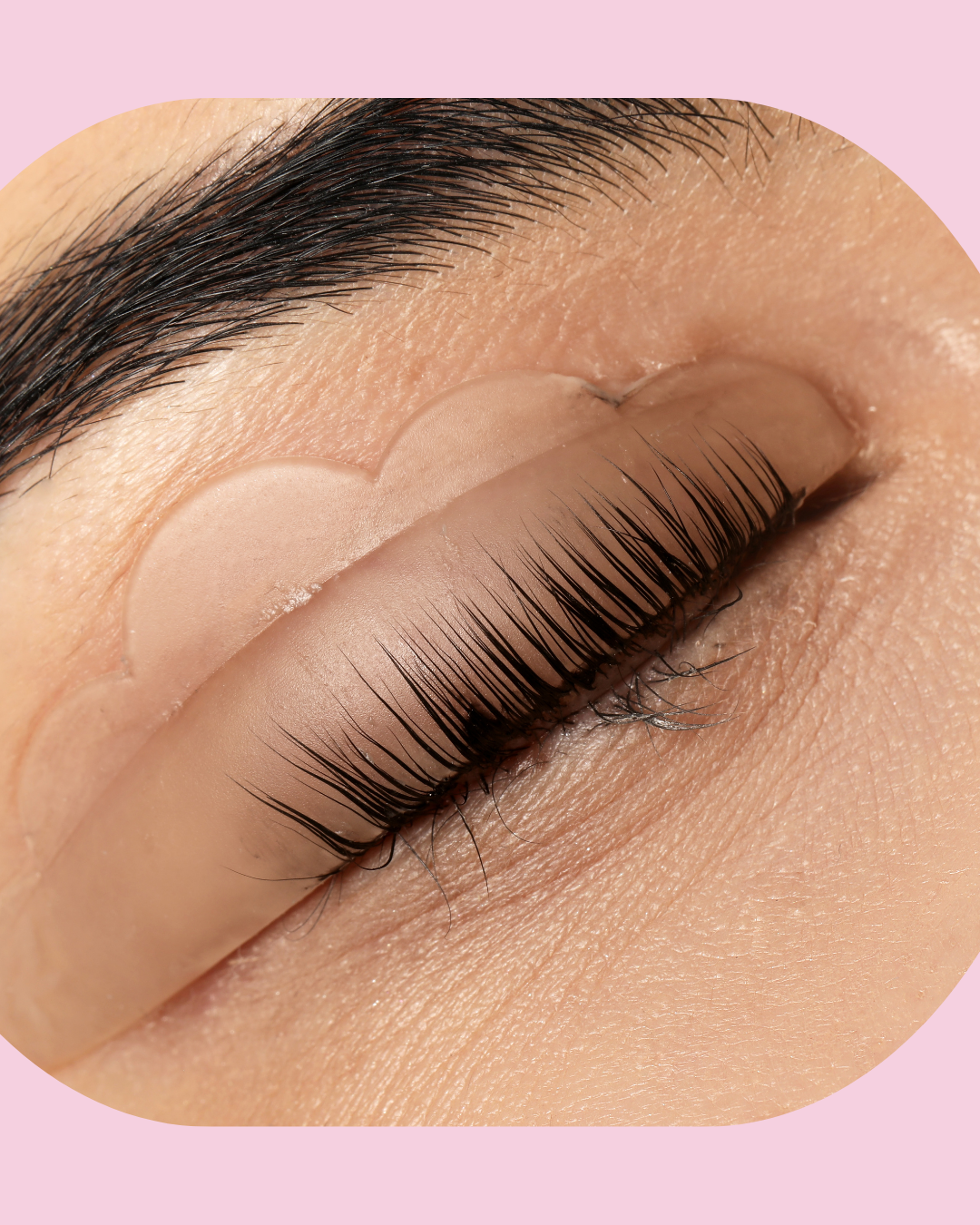 Lash Lift + Lash Tint