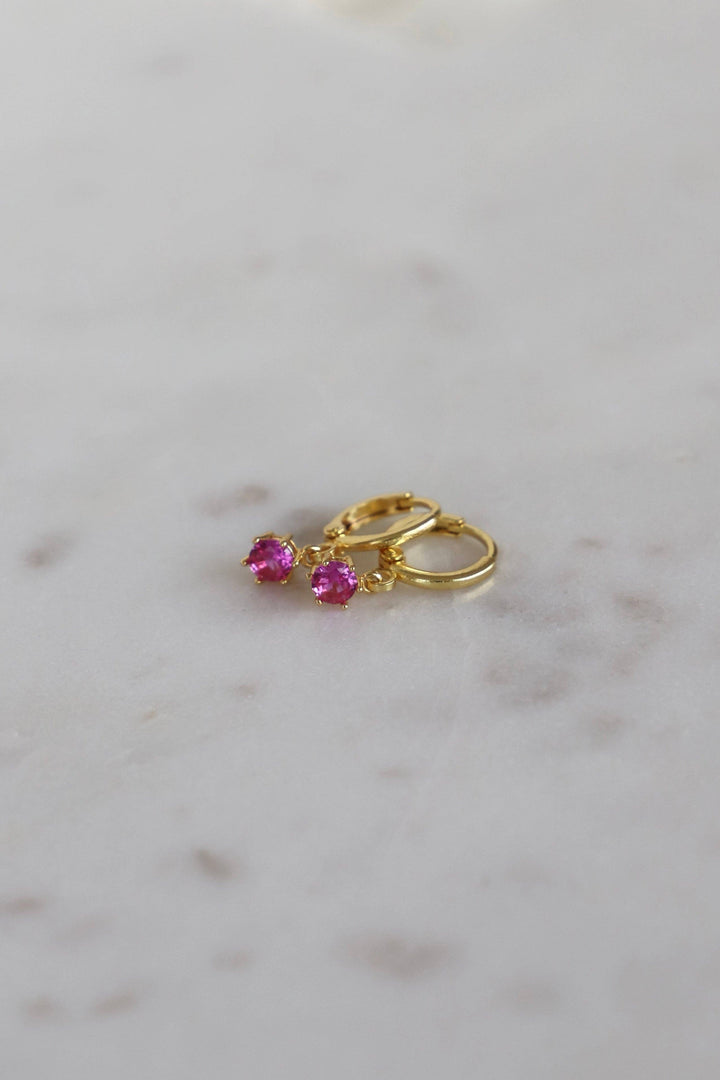 E1734G Earrings-Round Birthstone Huggies