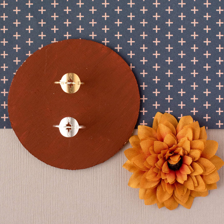 Ring-Compass Navigation