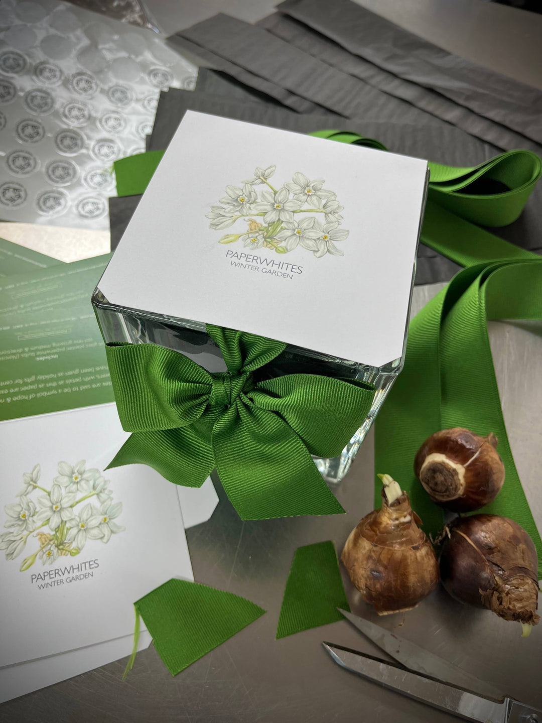 Amaryllis Winter Garden | Christmas Gift | Best Seller