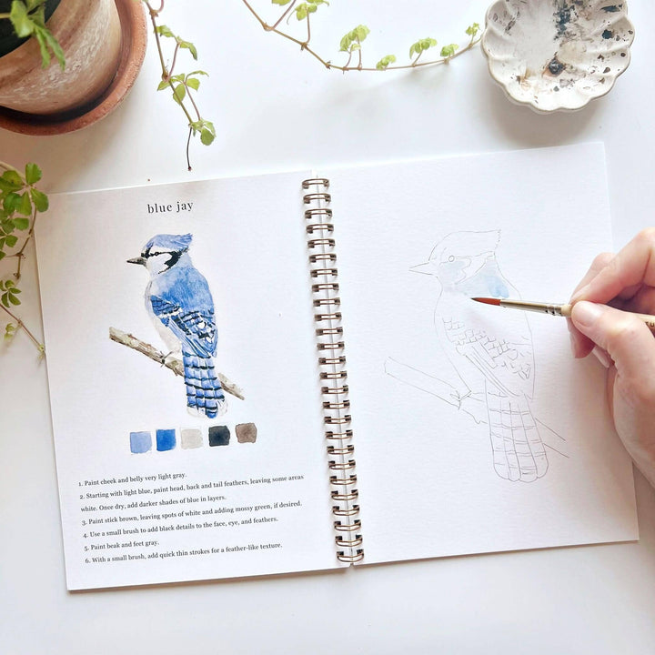 Watercolor Workbook-Birds