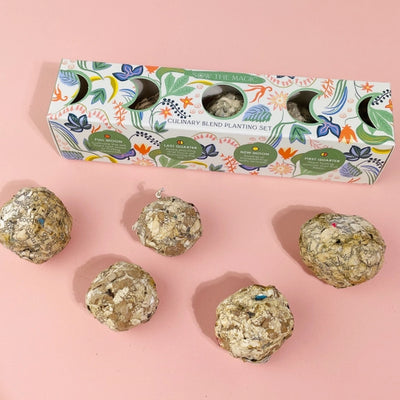 Garden Seed Ball Gift Box