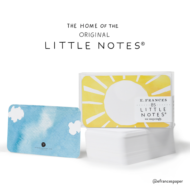 Little Notes®-Dog Days Boxed Set of 85 Mini Notes