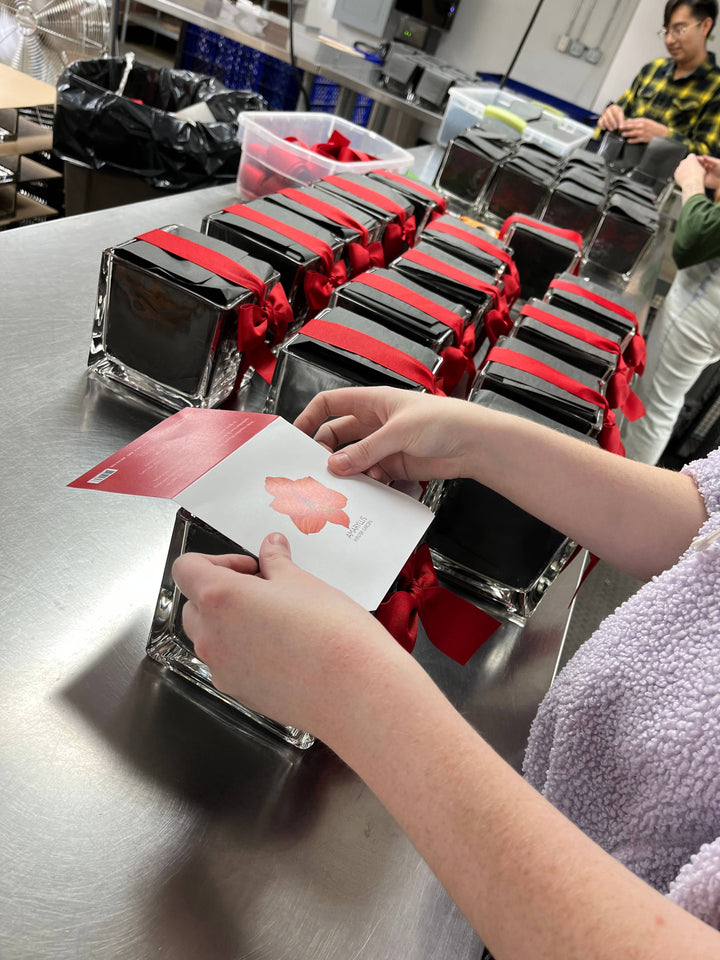 Amaryllis Winter Garden | Christmas Gift | Best Seller