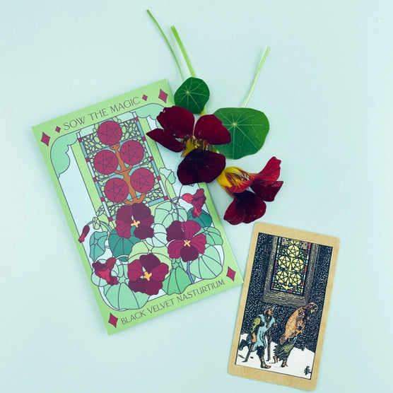 Tarot Garden + Gift Seed Packet