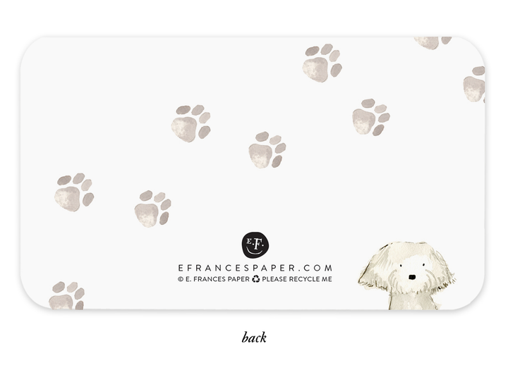 Little Notes®-Dog Days Boxed Set of 85 Mini Notes