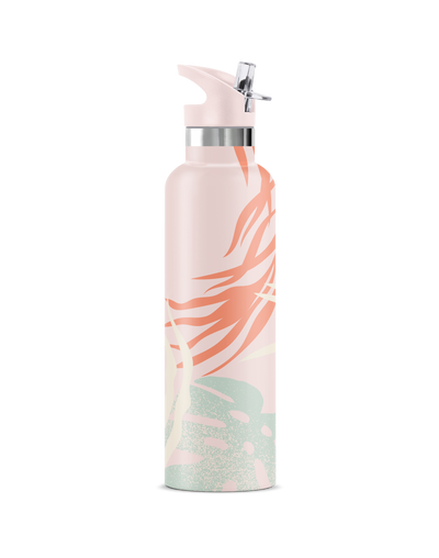 AHE | 25 oz Insulated Water Bottle Flip' n ' Sip Lid