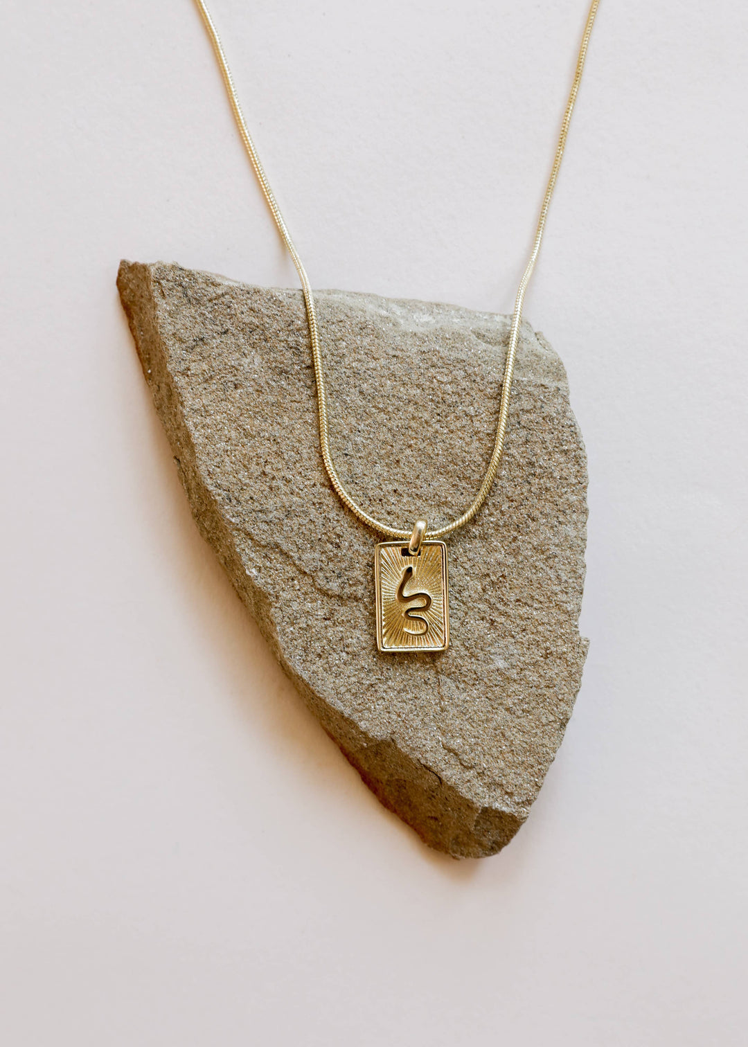 Necklace - Snake Dog Tag