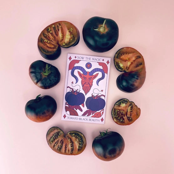 Tarot Garden + Gift Seed Packet