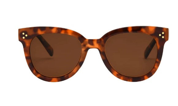 ISea Sunglasses-Assorted Styles